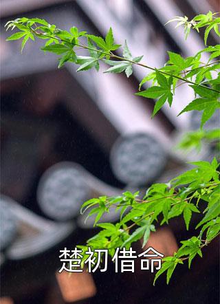 莲花楼：人生本过客，何必千千结